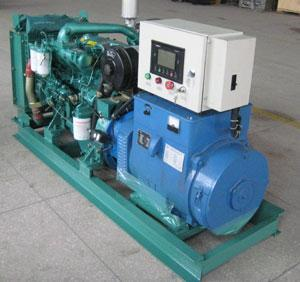 辛集发电机出租